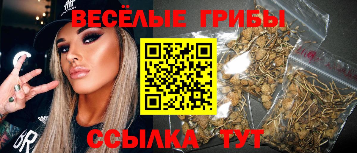 Артём  Галлюциногенные грибы GOLDEN TEACHER  Псилоцибиновые грибы мицелий  Вход с VPN 